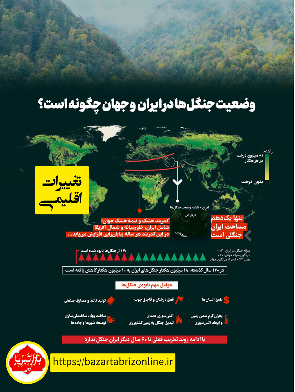 اینفوگرافیک | تحلیل وضعیت جنگل‌های ایران و جهان: تهدیدات و راهکارها