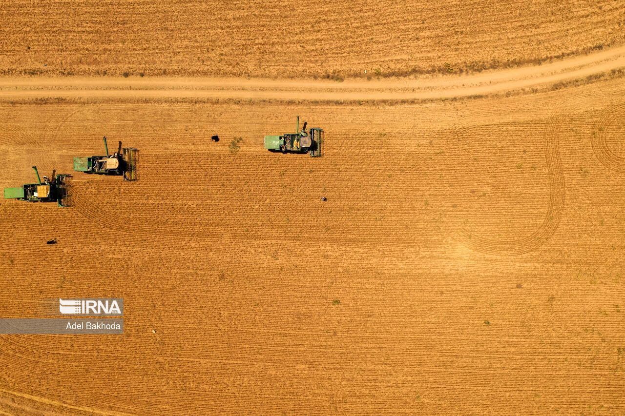 Iran's seventh rank in grain reserves