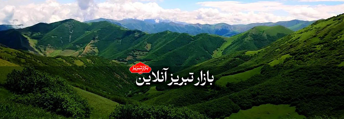 Şərqi Azərbaycanın bir milyon xarici turisti qəbul etmək potensialı var