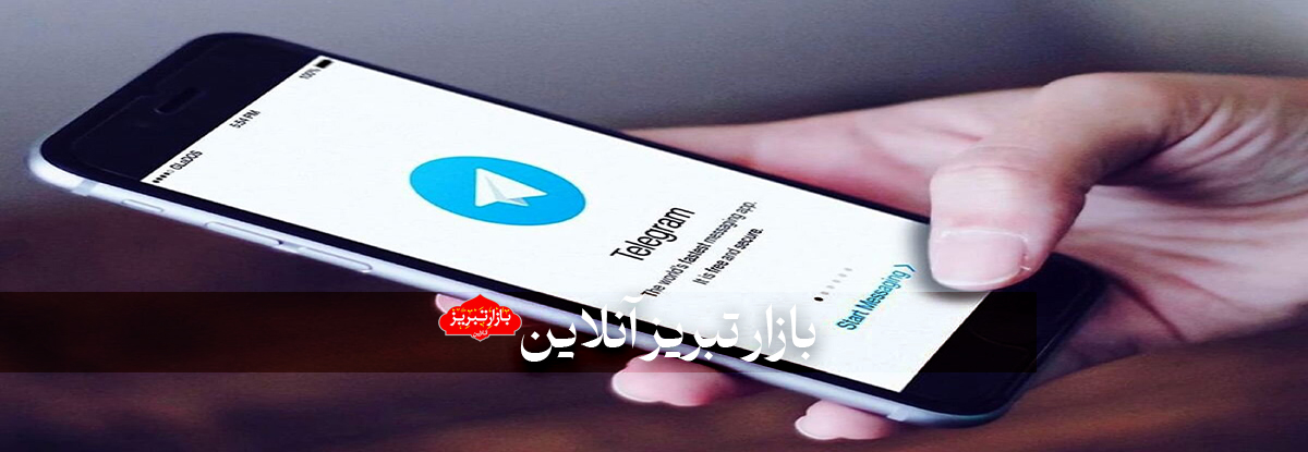 تلگرام چگونه موی دماغ فرانسه شد؟ | مدیر عامل پیام‌رسان تلگرام چرا بازداشت شد؟
