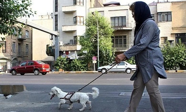 سگ گردانی در این شهر هم ممنوع شد