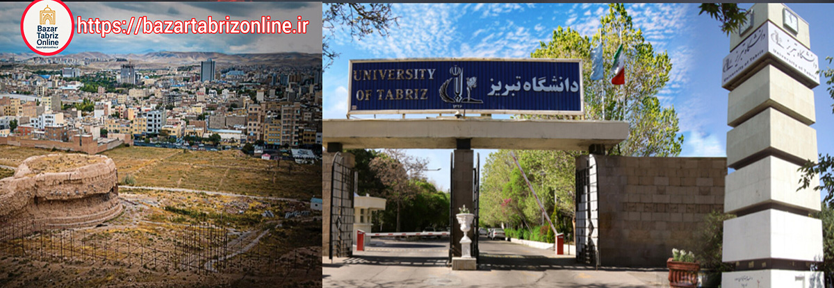 از ربع رشیدی تا دانشگاه تبریز؛ جایی که علم مرز نمی‌شناسد | ربع رشیدی، روح جهانی دانشگاه تبریز