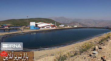 جریمه میلیاردی معدن طلای اندریان ورزقان