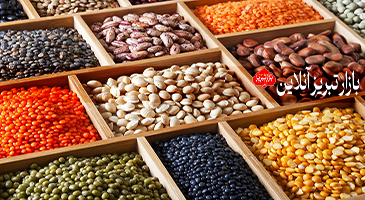 صادرات حبوبات از آذرشهر؛ رویا یا واقعیت؟