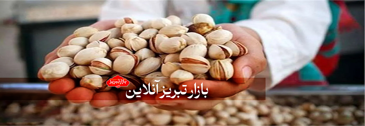 ورود خودروسازان به صادرات پسته | اروپا پسته‌های ایرانی را دیپورت کرد!