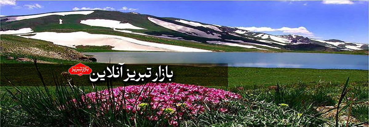 شهر اکسیژن خالص در ایران کجاست؟ | سیلوانا از مناطق اکسیژن خالص جهان است